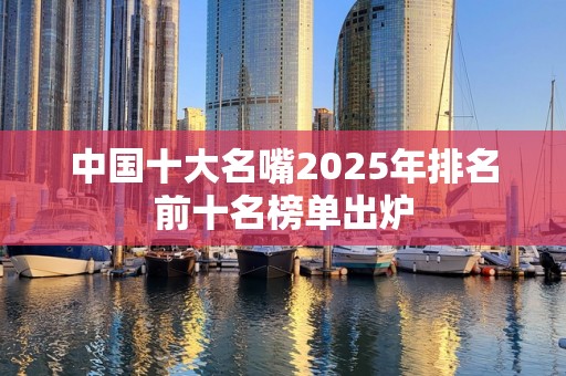 中国十大名嘴2025年排名前十名榜单出炉
