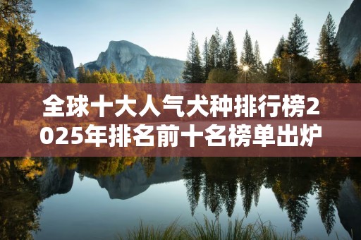 全球十大人气犬种排行榜2025年排名前十名榜单出炉
