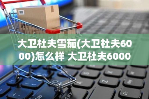 大卫杜夫雪茄(大卫杜夫6000)怎么样 大卫杜夫6000雪茄好抽吗