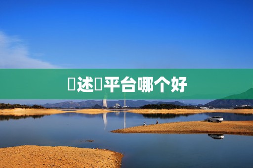 陳述單平台哪个好