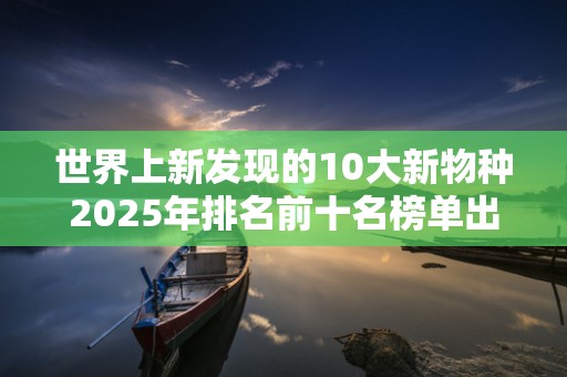 世界上新发现的10大新物种2025年排名前十名榜单出炉