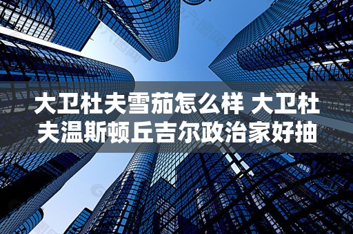 大卫杜夫雪茄怎么样 大卫杜夫温斯顿丘吉尔政治家好抽吗