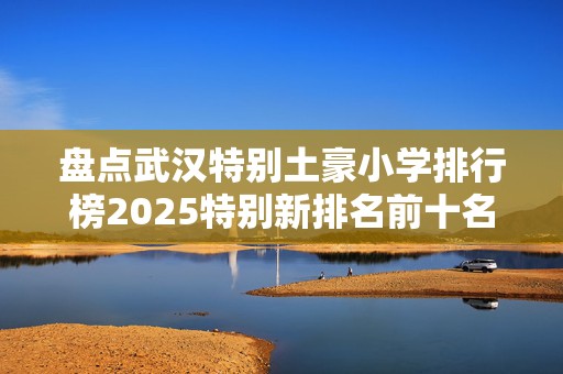 盘点武汉特别土豪小学排行榜2025特别新排名前十名分析