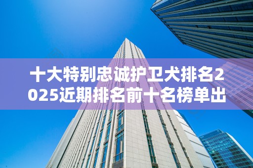 十大特别忠诚护卫犬排名2025近期排名前十名榜单出炉