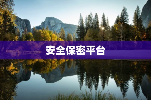 安全保密平台