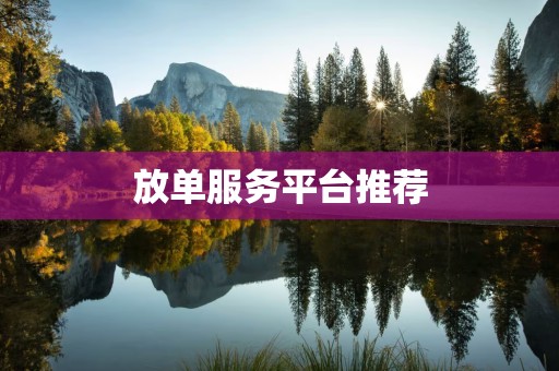 放单服务平台推荐