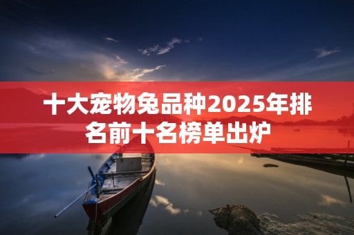 十大宠物兔品种2025年排名前十名榜单出炉