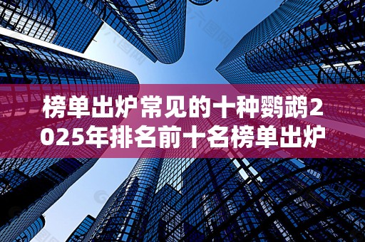 榜单出炉常见的十种鹦鹉2025年排名前十名榜单出炉