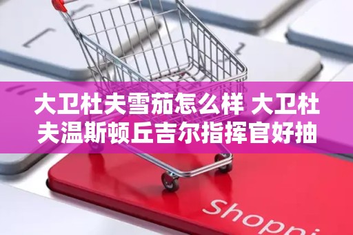 大卫杜夫雪茄怎么样 大卫杜夫温斯顿丘吉尔指挥官好抽吗