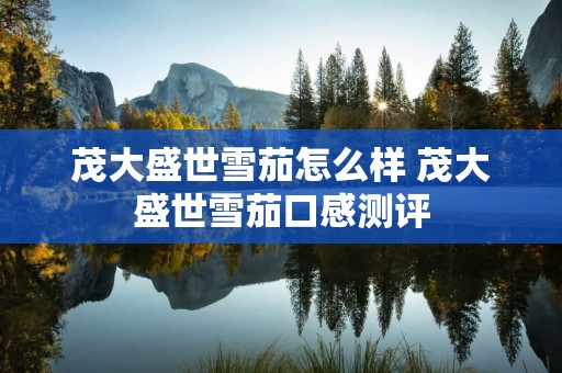 茂大盛世雪茄怎么样 茂大盛世雪茄口感测评