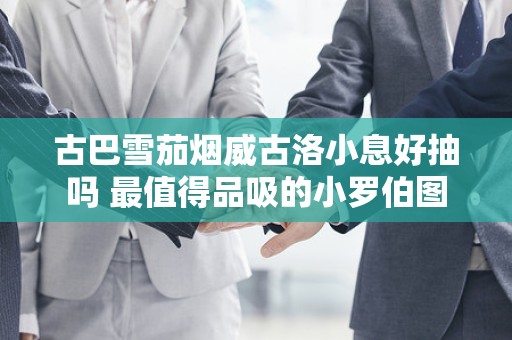 古巴雪茄烟威古洛小息好抽吗 最值得品吸的小罗伯图