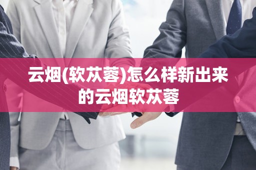 云烟(软苁蓉)怎么样新出来的云烟软苁蓉