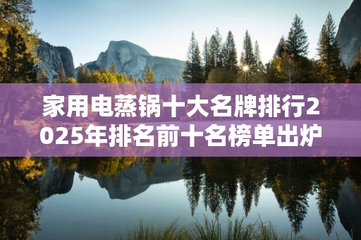 家用电蒸锅十大名牌排行2025年排名前十名榜单出炉