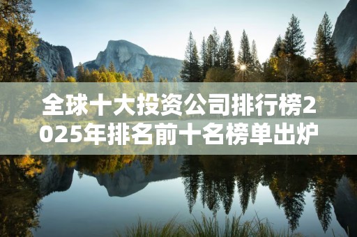 全球十大投资公司排行榜2025年排名前十名榜单出炉