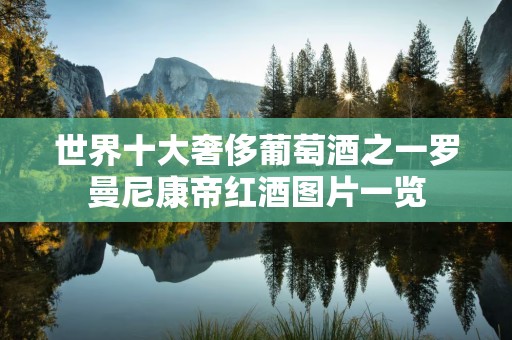 世界十大奢侈葡萄酒之一罗曼尼康帝红酒图片一览