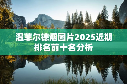 温菲尔德烟图片2025近期排名前十名分析