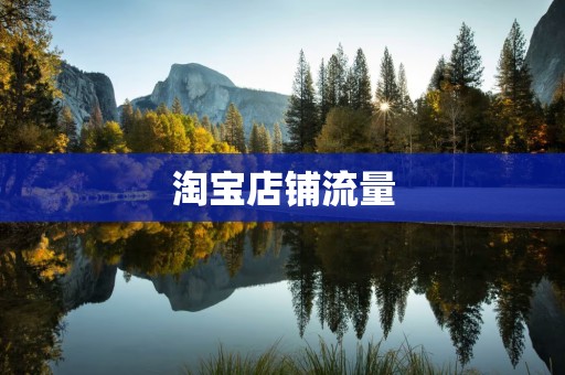淘宝店铺流量