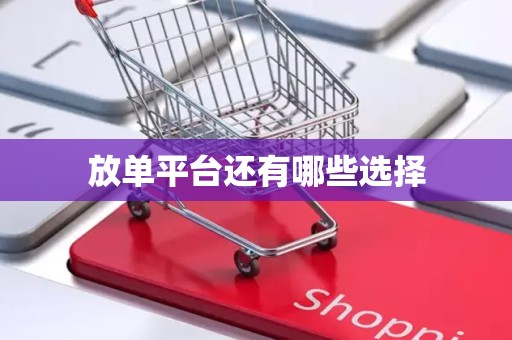 放单平台还有哪些选择
