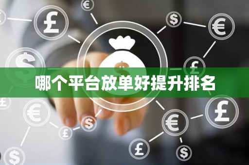 哪个平台放单好提升排名