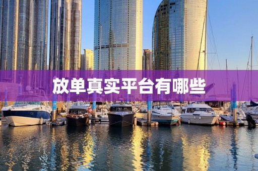 放单真实平台有哪些