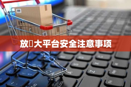 放單大平台安全注意事项