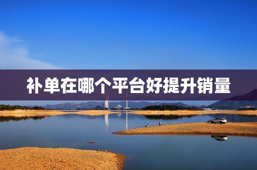 补单在哪个平台好提升销量