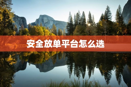 安全放单平台怎么选