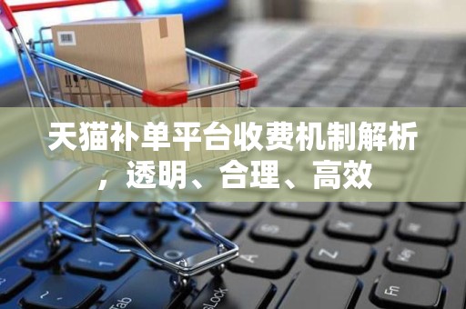 天猫补单平台收费机制解析，透明、合理、高效