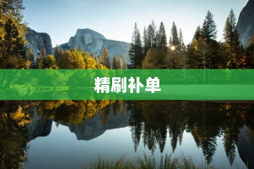 精刷补单