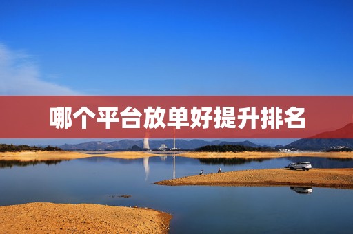 哪个平台放单好提升排名
