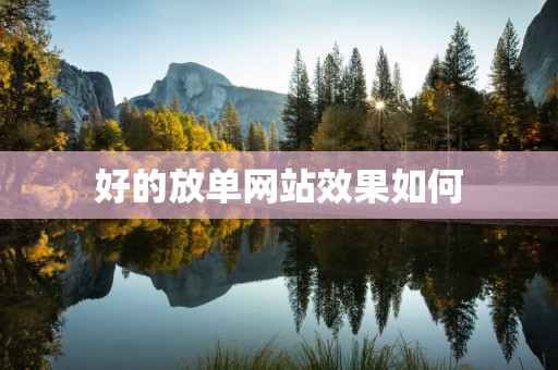 好的放单网站效果如何