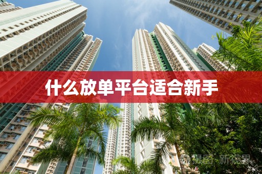 什么放单平台适合新手