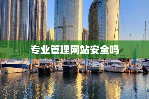专业管理网站安全吗