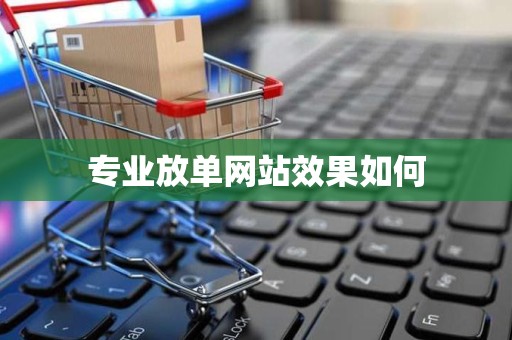 专业放单网站效果如何