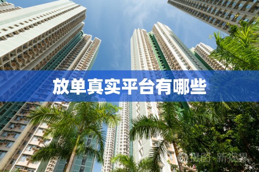 放单真实平台有哪些