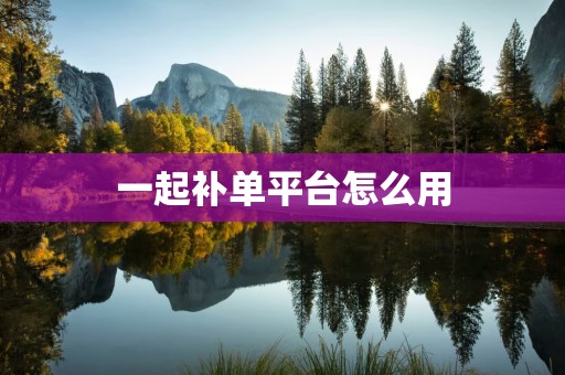一起补单平台怎么用