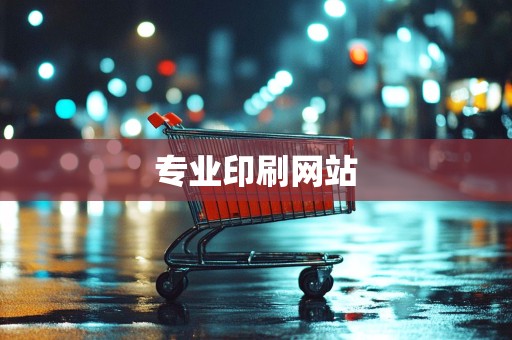 专业印刷网站