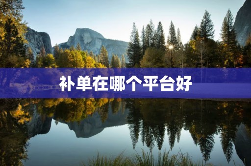补单在哪个平台好