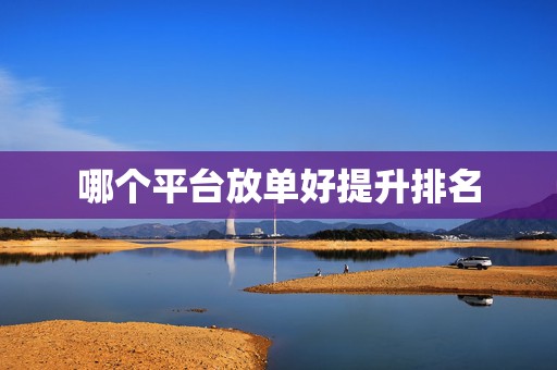 哪个平台放单好提升排名