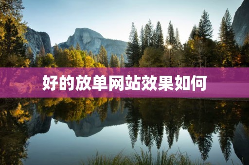 好的放单网站效果如何