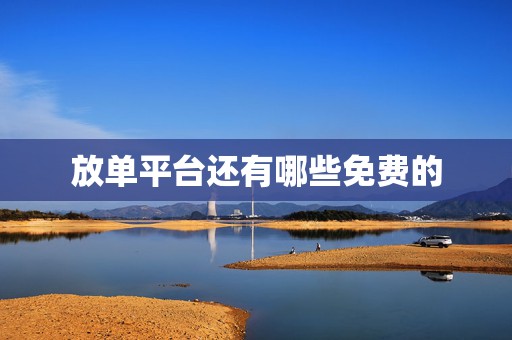 放单平台还有哪些免费的