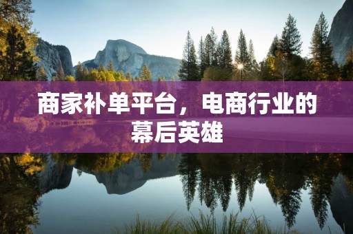 商家补单平台，电商行业的幕后英雄