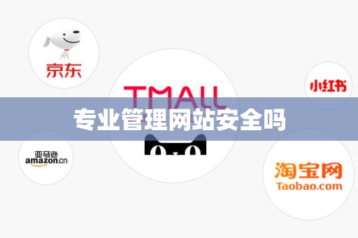 专业管理网站安全吗