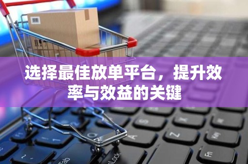选择最佳放单平台，提升效率与效益的关键