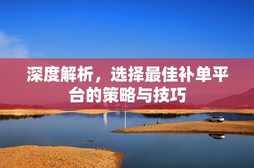 深度解析，选择最佳补单平台的策略与技巧