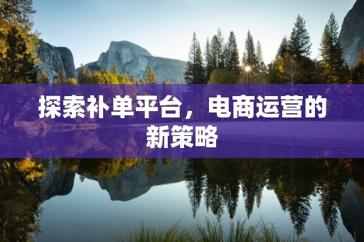探索补单平台，电商运营的新策略