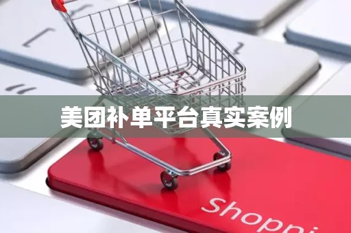 美团补单平台真实案例