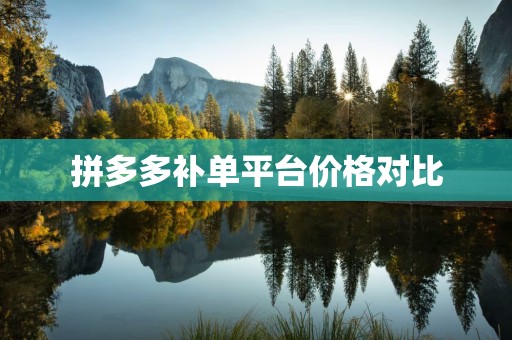 拼多多补单平台价格对比