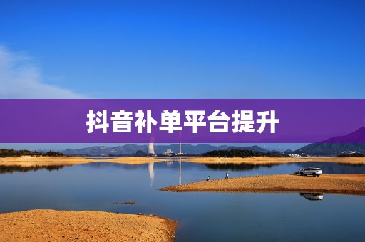 抖音补单平台提升