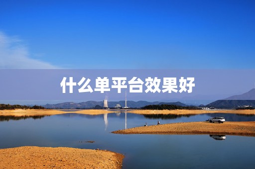 什么单平台效果好
